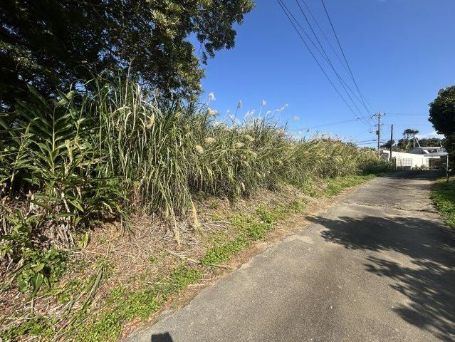 Land for Sale in Nakijin Village, Okinawa - 1743 m² - Thumbnail 4