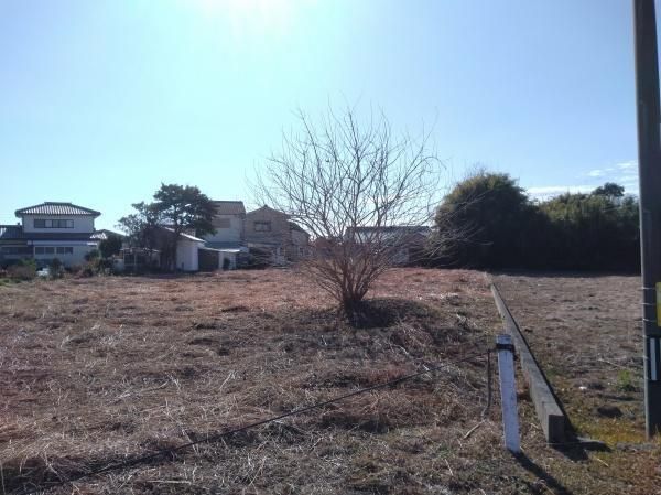 Land for Sale in Shintomi-cho, Miyazaki - 1,210 sqm - Thumbnail 3