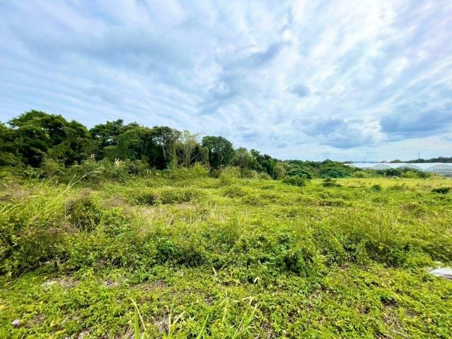 Large Land Plot for Sale in Ginoza Village, Okinawa - Thumbnail 4