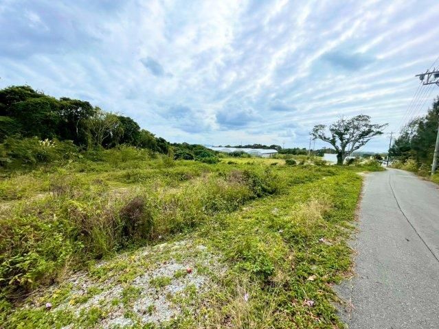Large Land Plot for Sale in Ginoza Village, Okinawa - Thumbnail 3