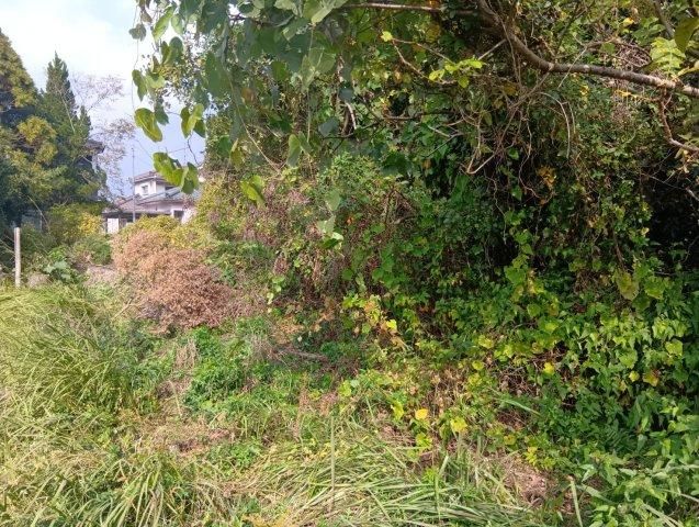 Land for Sale in Yoshino-cho, Kagoshima City - 805 sqm - Thumbnail 4