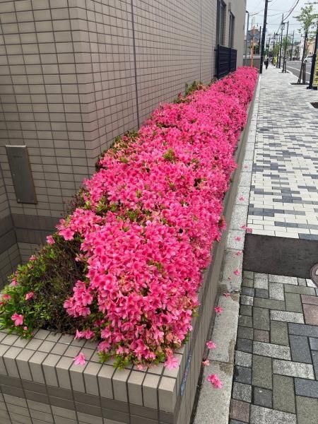 4LDK Apartment for Sale in Hakodate, Hokkaido - 116m2 - Thumbnail 3
