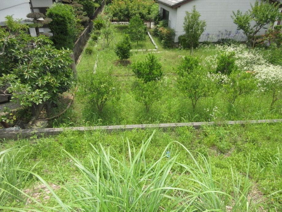 2,600 sqm Commercial Land for Sale in Nichinan, Miyazaki - Thumbnail 4