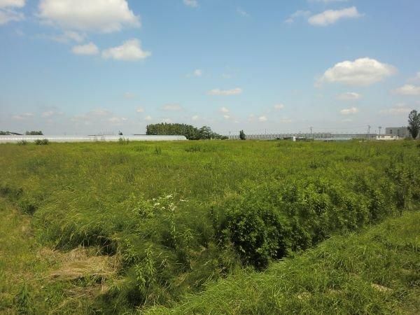 4958m2 Agricultural Land for Sale in Okadama-cho, Higashi-ku, Sapporo - Thumbnail 2