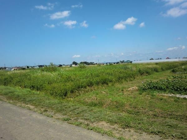 4958m2 Agricultural Land for Sale in Okadama-cho, Higashi-ku, Sapporo - Thumbnail 3