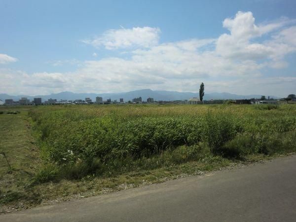 4958m2 Agricultural Land for Sale in Okadama-cho, Higashi-ku, Sapporo - Thumbnail 4