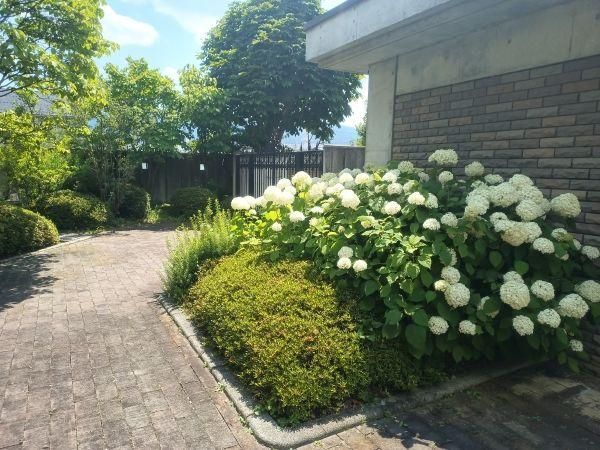 Large RC Estate with Mt. Fuji Views for Sale in Suwa, Nagano - Thumbnail 4