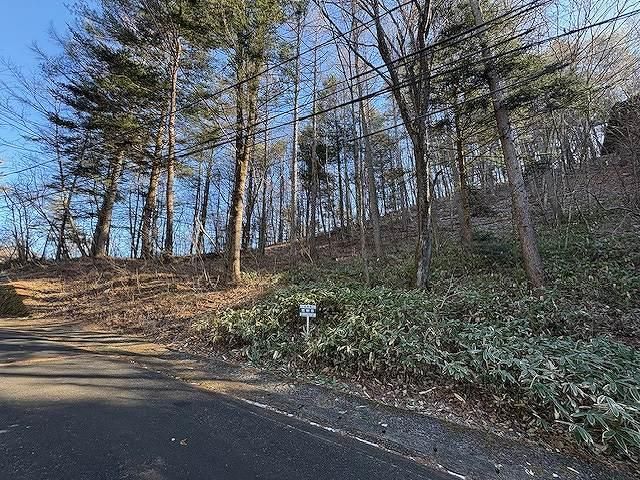 Land for Sale in Karuizawa, Nagano - 1392 sqm - Thumbnail 4