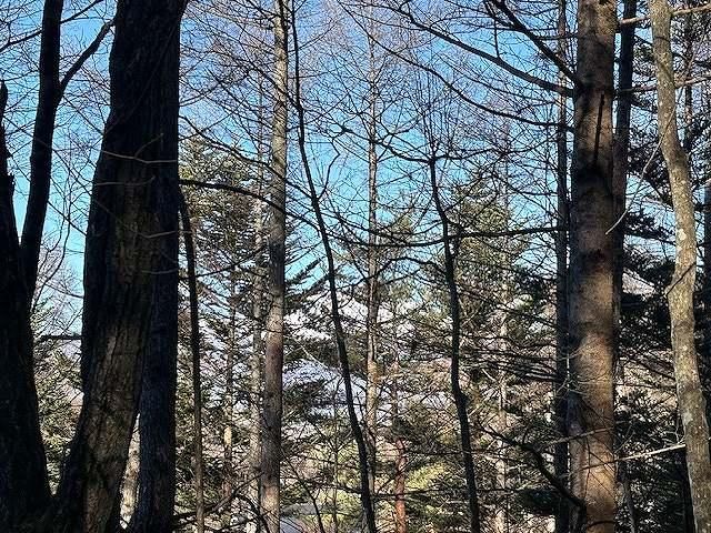 Land for Sale in Karuizawa, Nagano - 1392 sqm - Thumbnail 2