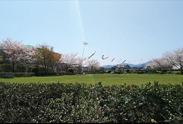 Land for Sale in Kiyotake-cho Kano, Miyazaki - 180.31 sqm - Thumbnail 4