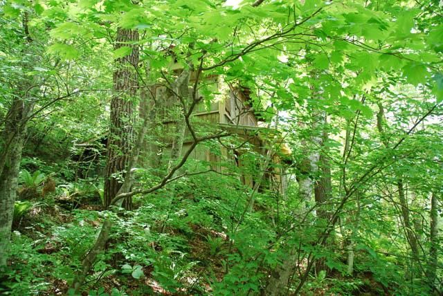 Land for Sale in Karuizawa, Nagano - 440.53 sqm - Thumbnail 2