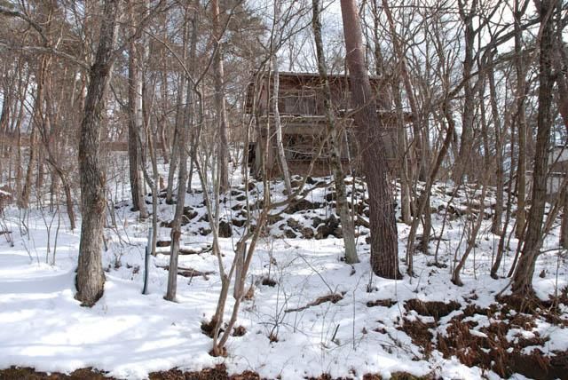 Land for Sale in Karuizawa, Nagano - 440.53 sqm - Thumbnail 4