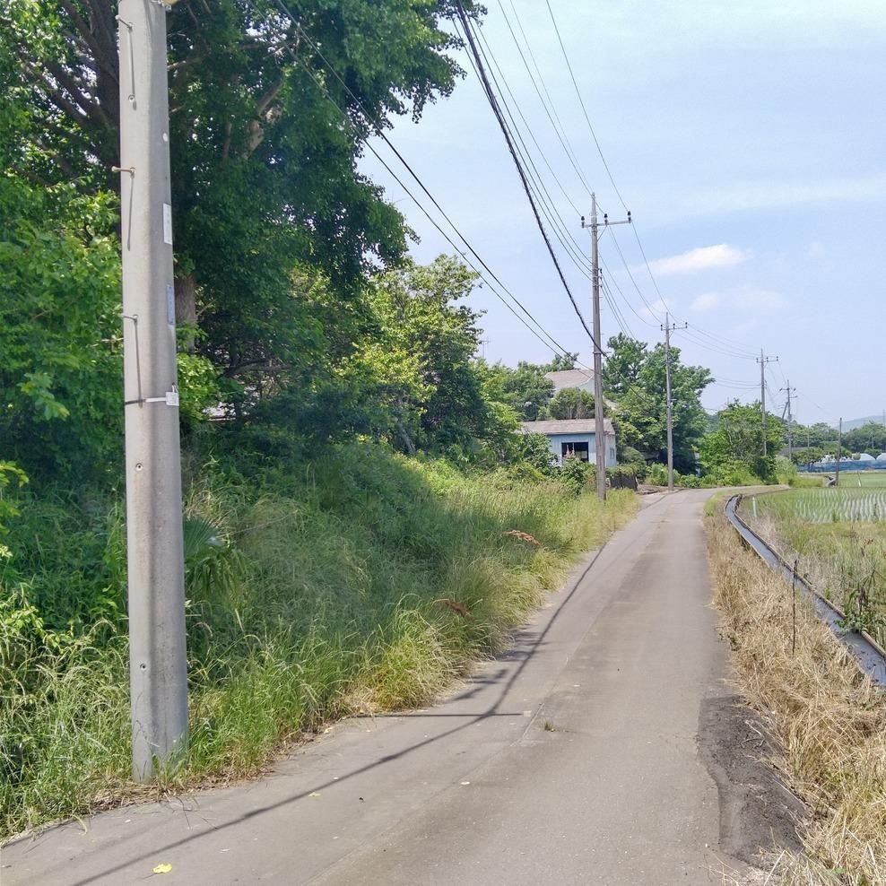 Land for Sale in Tsukuba, Ibaraki - 1,450 sqm with Views - Thumbnail 2