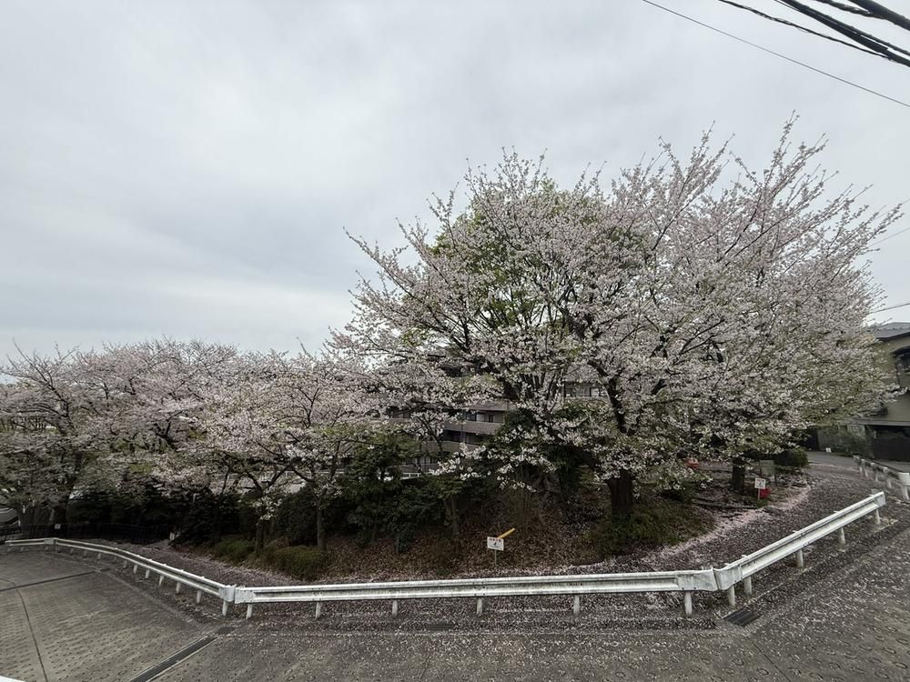 2LDK Apartment for Sale in Takatsu, Kawasaki - 65m2 - Thumbnail 3