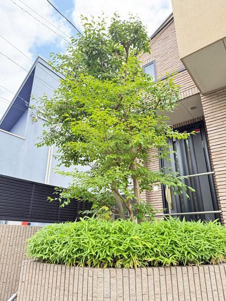 3LDK+S House with Roof Balcony and Sauna in Shinjuku, Tokyo - Thumbnail 2