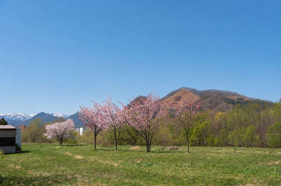119.62 sqm Land for Sale in Minami-ku, Sapporo - Thumbnail 4
