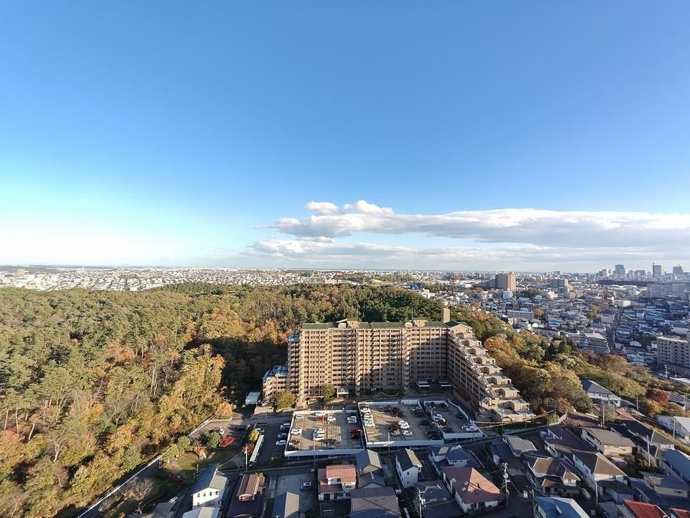 Renovated 3LDK Apartment in Sendai Aoba Ward - Thumbnail 3