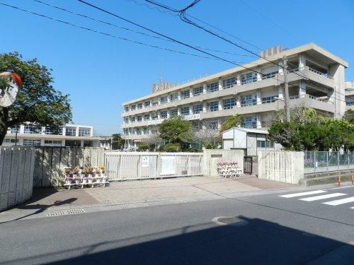 Land for Sale in Kusumuta, Kagoshima City - 393.59 sqm - Thumbnail 4