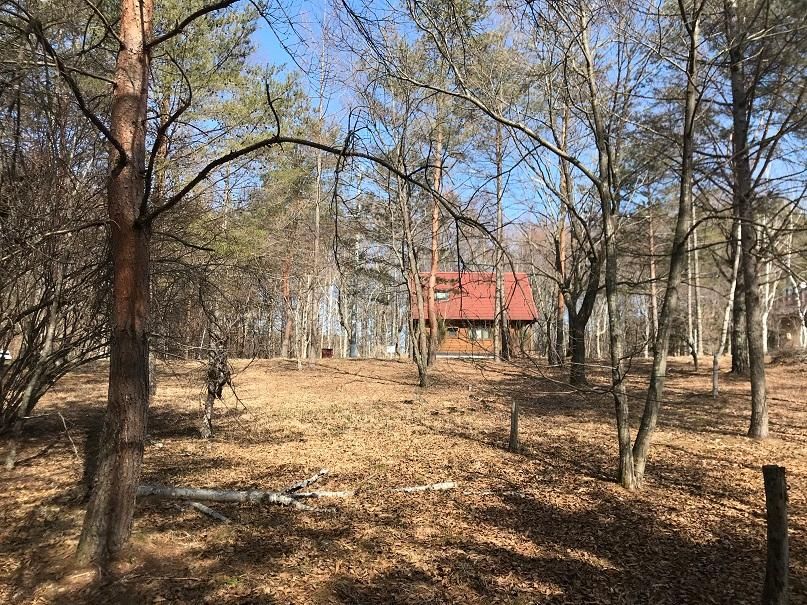 1,008 sqm Land for Sale in Saku, Nagano - Near Tateshina Skyline - Thumbnail 3