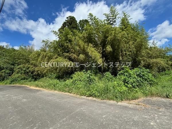 824 sqm Land for Sale in Miyazaki City, Miyazaki Prefecture - Thumbnail 3