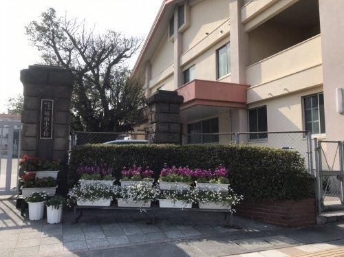 1LDK Apartment for Sale in Kagoshima City, 37m² - Thumbnail 2