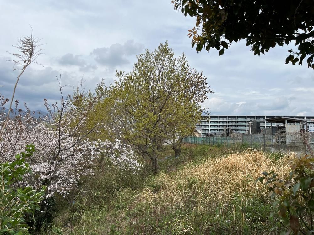 1,813m² Land for Sale in Isehara with Mount Oyama Views - Image 1
