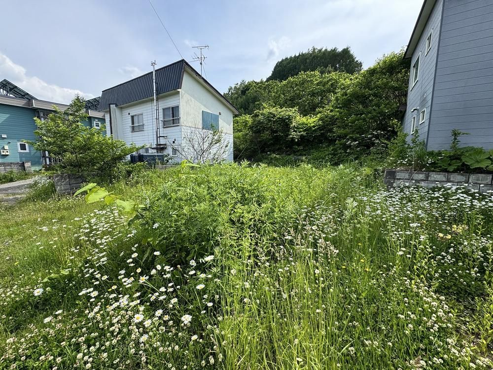 Land for Sale in Otaru, Hokkaido - 233.36 sqm - Thumbnail 3