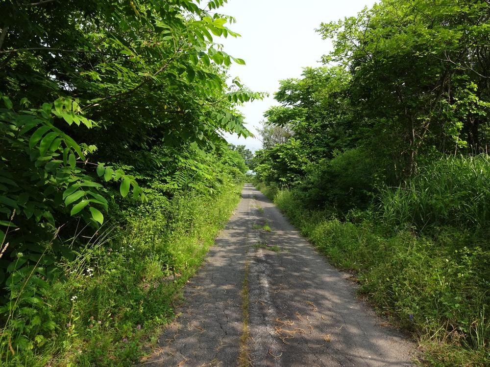Land for Sale in Niyama, Nanae, Hokkaido - 396.7m2 - Thumbnail 3