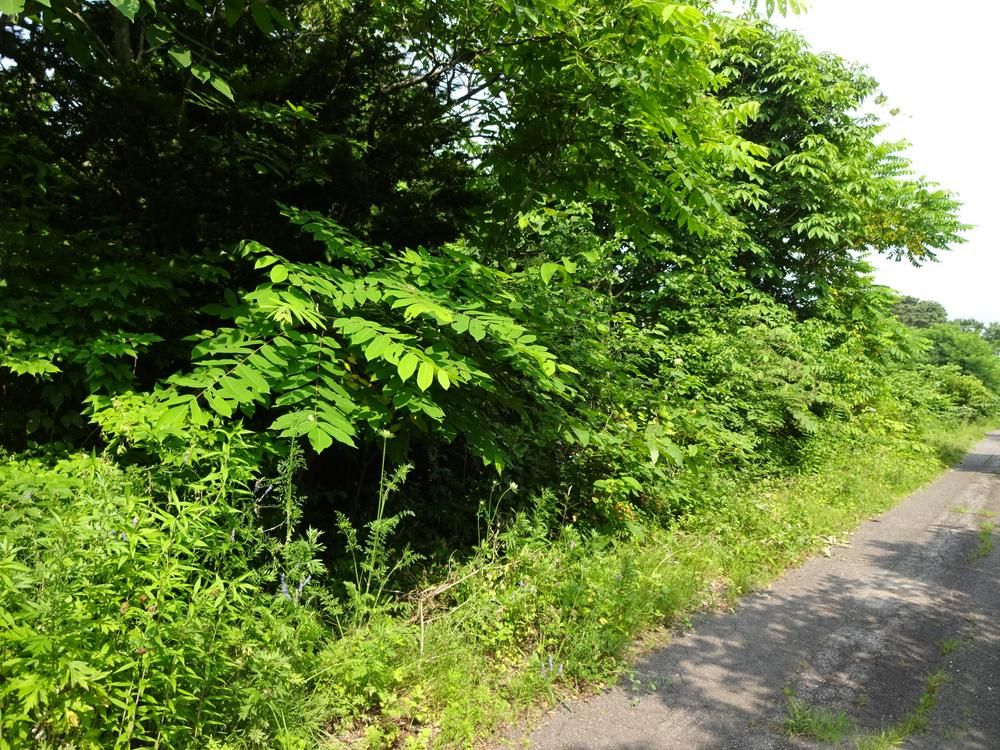 Land for Sale in Niyama, Nanae, Hokkaido - 396.7m2 - Thumbnail 4