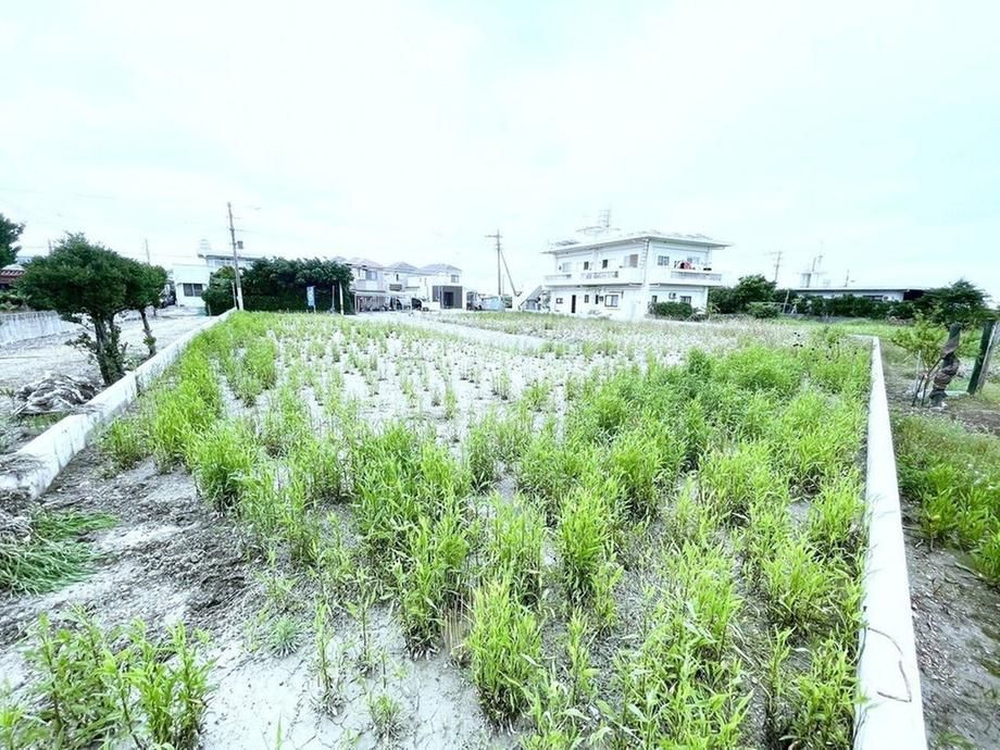 Land for Sale in Nishihara, Okinawa - 165.72 sqm - Thumbnail 3