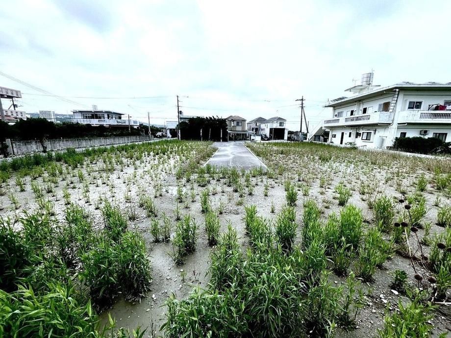 Land for Sale in Nishihara, Okinawa - 165.72 sqm - Thumbnail 2