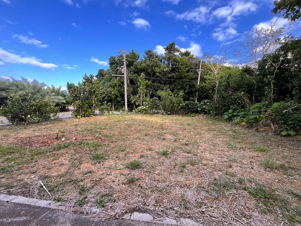 84.8 tsubo Flat Residential Land in Nakijin, Okinawa – 9 million yen - Thumbnail 4
