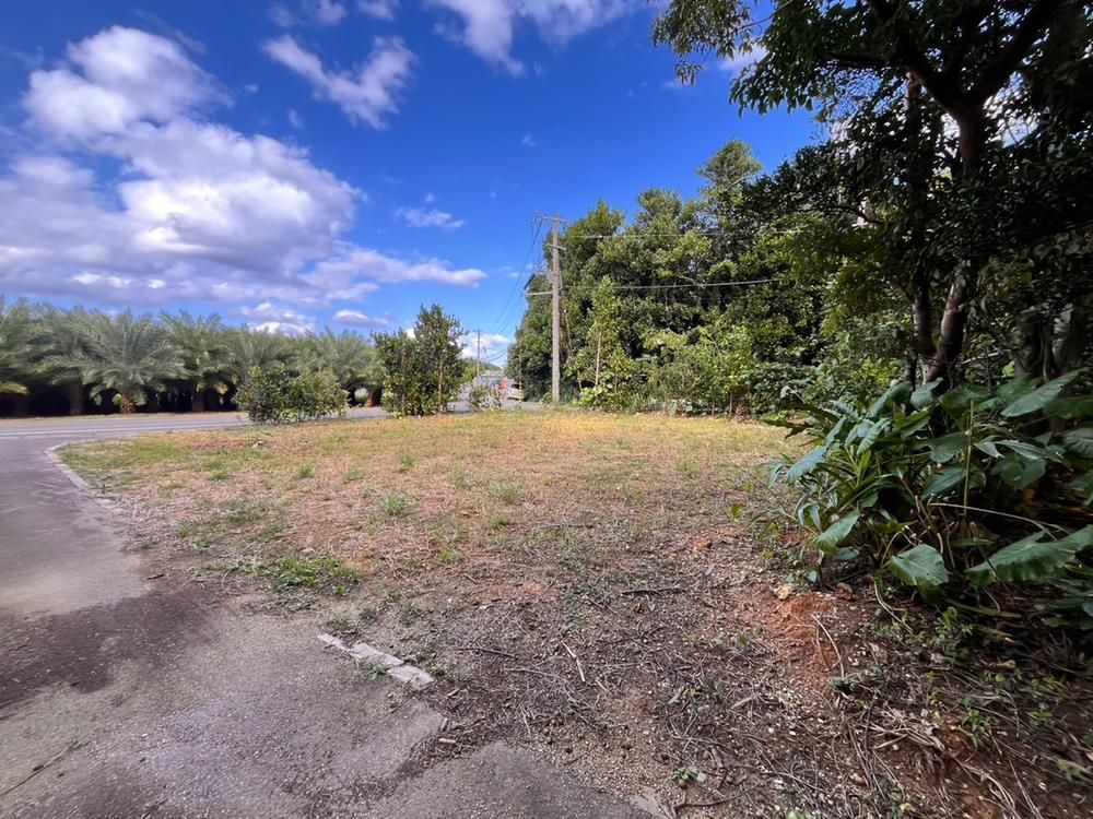 84.8 tsubo Flat Residential Land in Nakijin, Okinawa – 9 million yen - Thumbnail 2