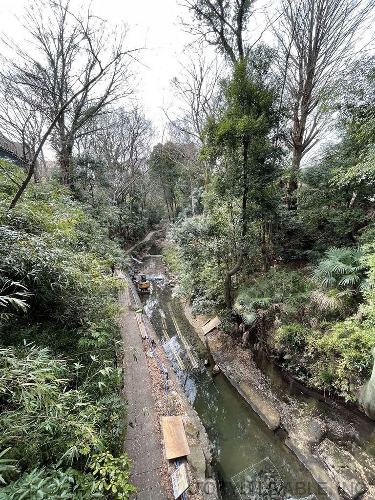 Land for Sale in Setagaya, Tokyo - 46.69 sqm, Near Oyama Station - Thumbnail 3