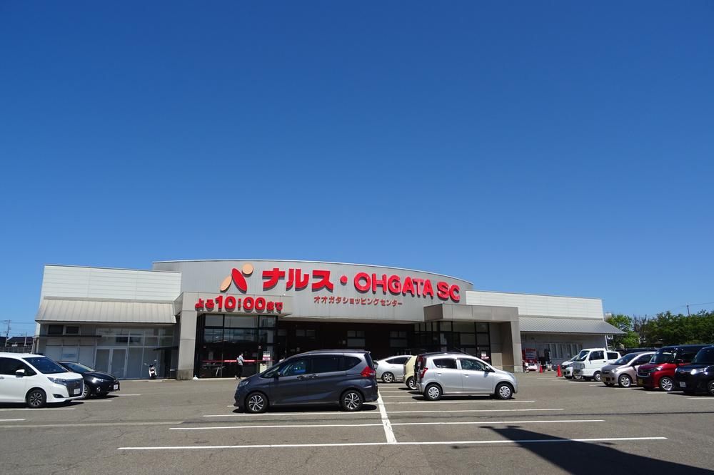 553 sqm Land for Sale in Joetsu City, Niigata Near Saigata Station - Thumbnail 4