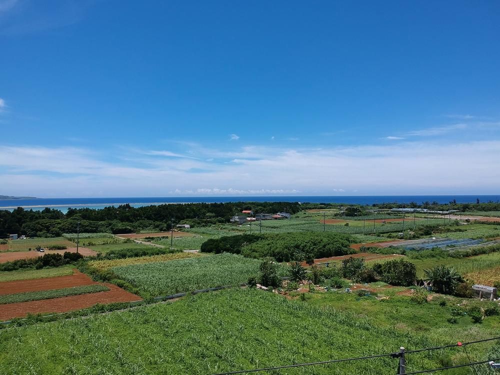 Land for Sale in Motobu, Okinawa - 2,772 sqm - Thumbnail 3