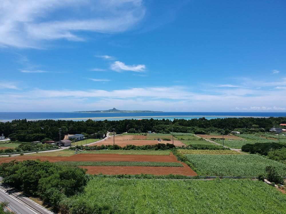 Land for Sale in Motobu, Okinawa - 2,772 sqm - Thumbnail 4