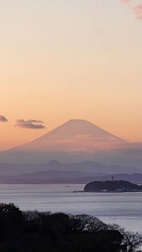 Land for Sale in Hayama, Kanagawa - 110.49 sqm Plot - Thumbnail 2