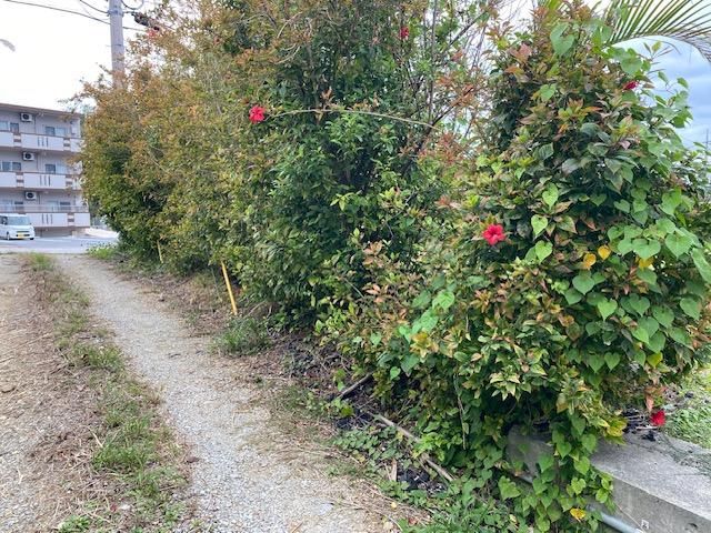 Land for Sale in Nakijin Village, Okinawa - 452 sqm - Thumbnail 2