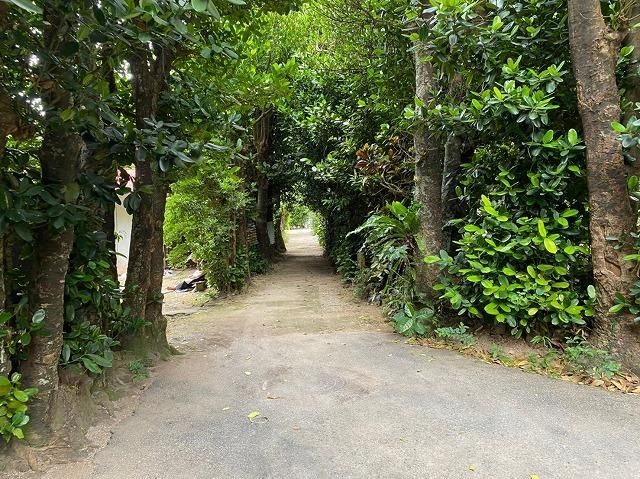 Land for Sale in Bise, Motobu Town, Okinawa - 705.83 sqm - Thumbnail 4