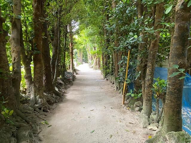 Land for Sale in Bise, Motobu Town, Okinawa - 705.83 sqm - Thumbnail 3