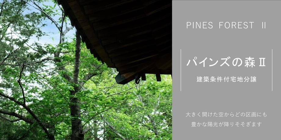154.69 sqm Building Plot in Gifu City, Gifu Prefecture - Thumbnail 3
