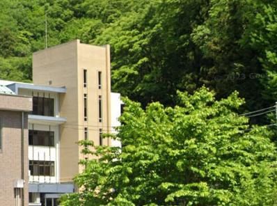 6LDK+S Custom House on 160 Tsubo Land in Tsuru, Yamanashi - Thumbnail 3