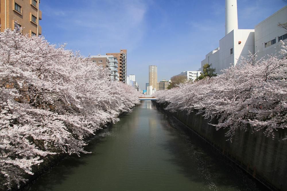 79.98m2 Land for Sale in Meguro, Tokyo near Meguro Station - Thumbnail 4