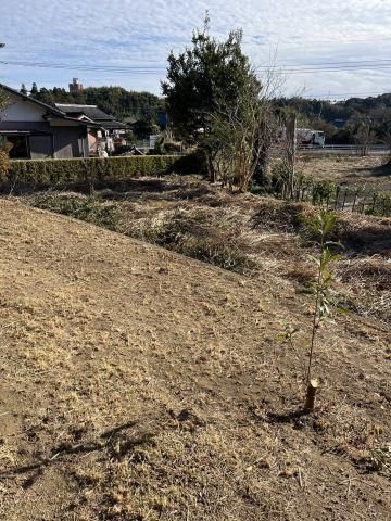 5DK Detached House for Sale in Miyazaki City with Large 966 sqm Lot - Thumbnail 3