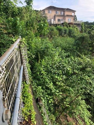 Land for Sale in Shigekura, Kochi City - 232.36 sqm - Thumbnail 2