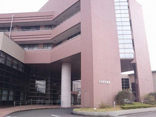 Land for Sale in Otsu Ko, Kochi City - 200.39 sqm - Thumbnail 3