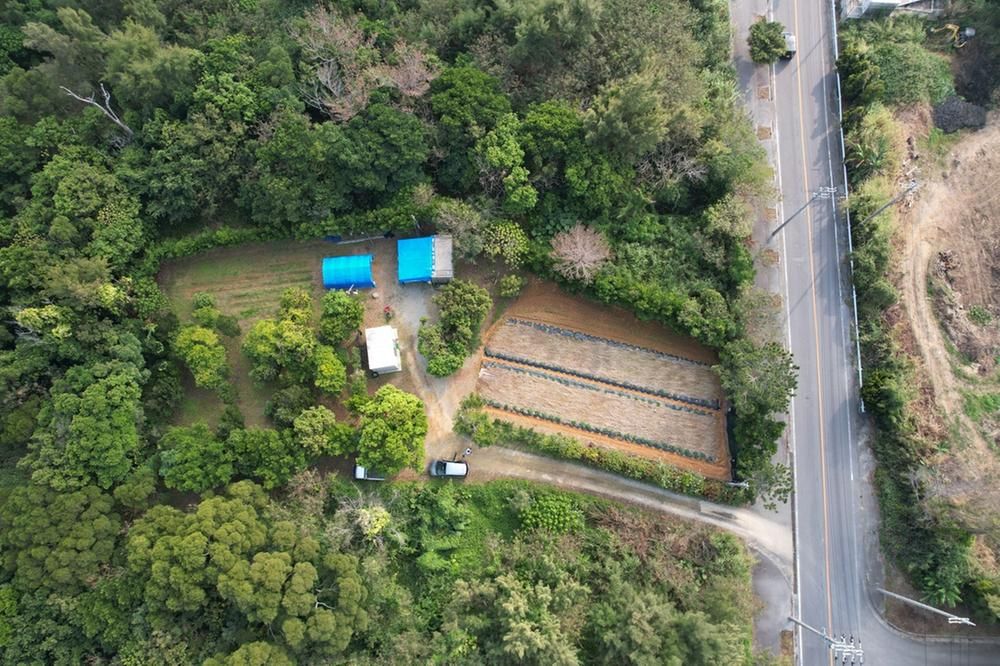 Land for Sale in Ginoza Village, Okinawa - 1,176 sqm - Thumbnail 2