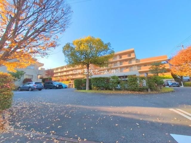 Renovated 3LDK Apartment in Kashiwa, Chiba - 70.76m2 - Thumbnail 2