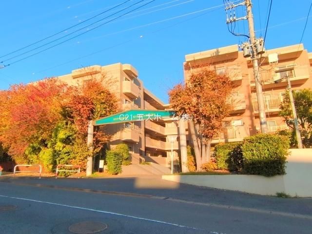 Renovated 3LDK Apartment in Kashiwa, Chiba - 70.76m2 - Thumbnail 4